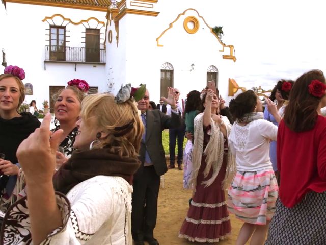 La boda de José y Rocío en Isla Minima, Sevilla 26