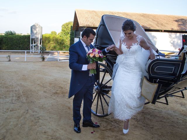 La boda de Miguel Ángel y Patricia en Alcala De Guadaira, Sevilla 43