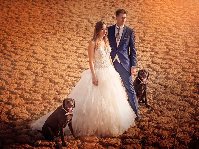 La boda de Vicente García y Sofía Abellán en Sagunt/sagunto, Valencia 23