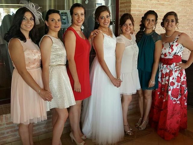 La boda de Luis y Beatriz en Campo De Criptana, Ciudad Real 3