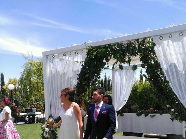 La boda de Luis y Beatriz en Campo De Criptana, Ciudad Real 2