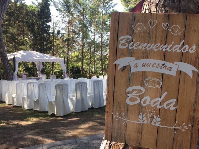 La boda de Alex y Paula  en Sant Boi De Llobregat, Barcelona 1