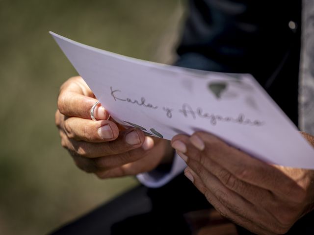 La boda de Carla y Alejandro en Vitoria, A Coruña 34