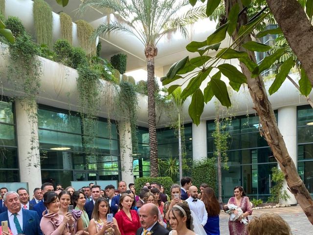 La boda de Antonio  y Patricia  en Benidorm, Alicante 4