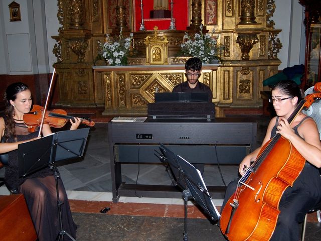 La boda de Julián y Irene  en Málaga, Málaga 8