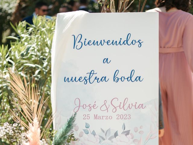 La boda de José Antonio y Silvia en Mairena Del Alcor, Sevilla 17