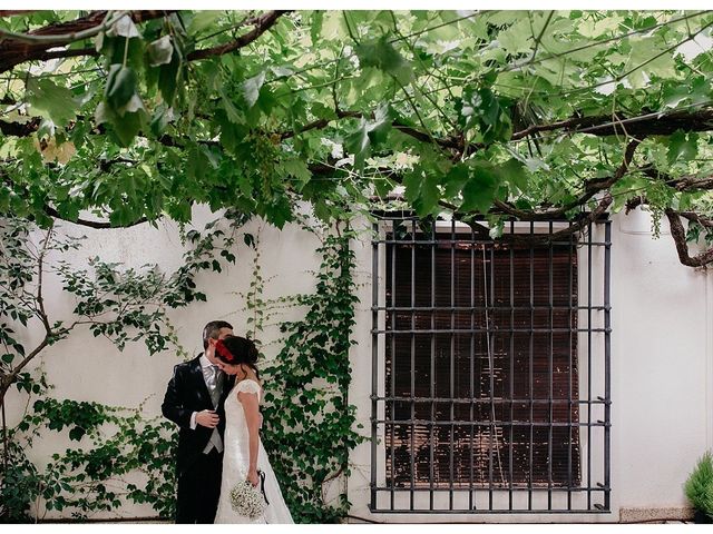 La boda de Pedro y Fátima en Trujillo, Cáceres 40