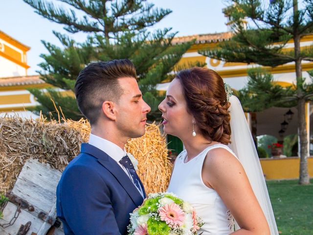 La boda de Manuel y Carmen en Alcala De Guadaira, Sevilla 7