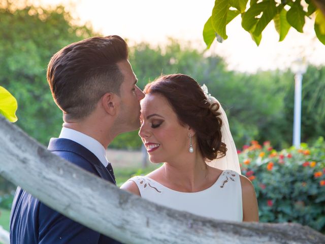 La boda de Manuel y Carmen en Alcala De Guadaira, Sevilla 15
