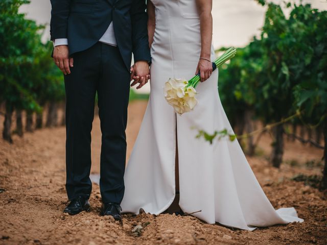 La boda de Silvia y Alberto en Villagarcia Del Llano, Cuenca 39