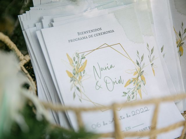 La boda de Nuria y Oriol en Sant Fost De Campsentelles, Barcelona 22