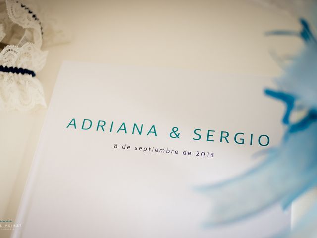 La boda de Sergio y Adriana en Burriana, Castellón 16
