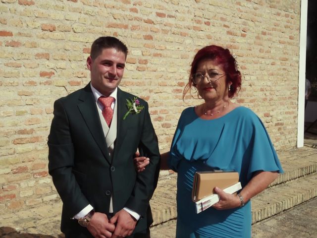 La boda de Juan Carlos y Anabel en Villamanrique De La Condesa, Sevilla 13