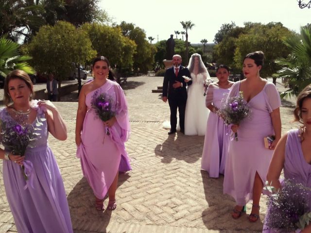 La boda de Juan Carlos y Anabel en Villamanrique De La Condesa, Sevilla 14