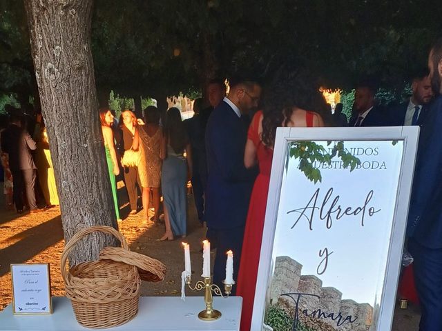 La boda de Alfredo  y Tamara  en Cáceres, Cáceres 8