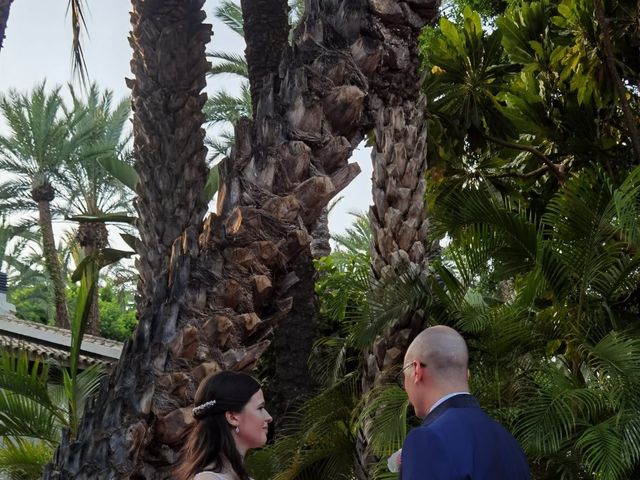 La boda de Ana  y David en Elx/elche, Alicante 1