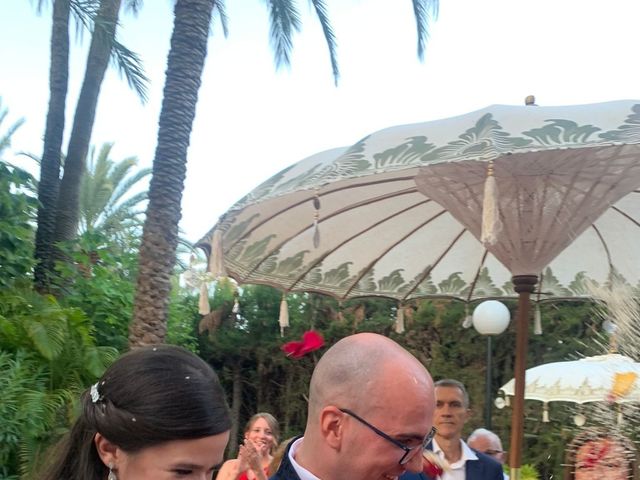La boda de Ana  y David en Elx/elche, Alicante 6