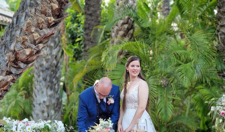 La boda de Ana  y David en Elx/elche, Alicante