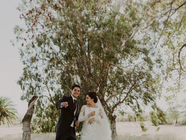 La boda de Emilio y María Sierra en Villarrubia De Los Ojos, Ciudad Real 17