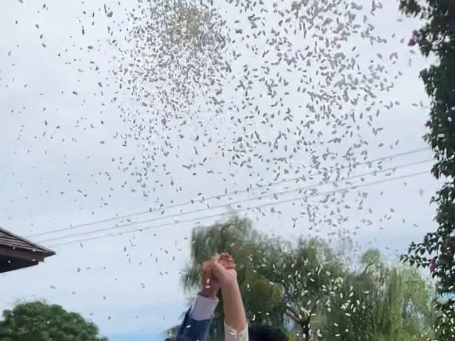 La boda de Pedro  y Espe en Valencia, Valencia 1