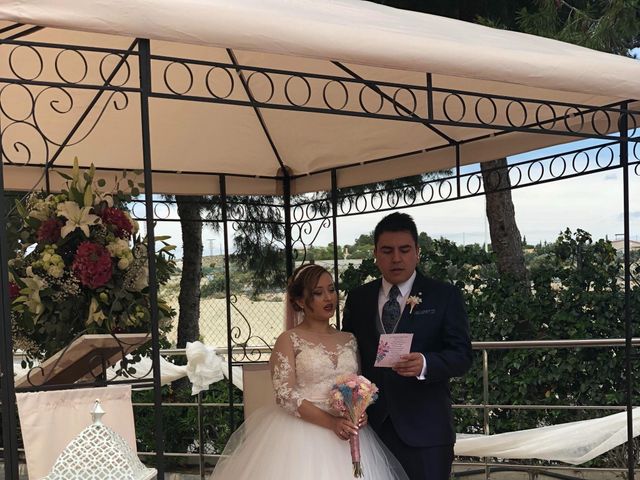 La boda de Belén y Juanma en Las Torres De Cotillas, Murcia 4