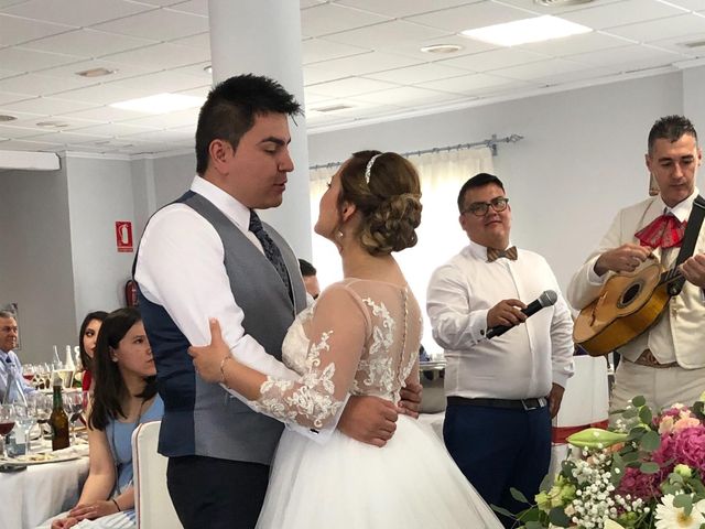 La boda de Belén y Juanma en Las Torres De Cotillas, Murcia 15