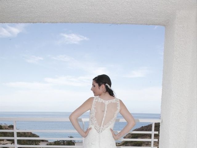 La boda de Fredy  y Trisha  en L' Alfàs Del Pi, Alicante 16