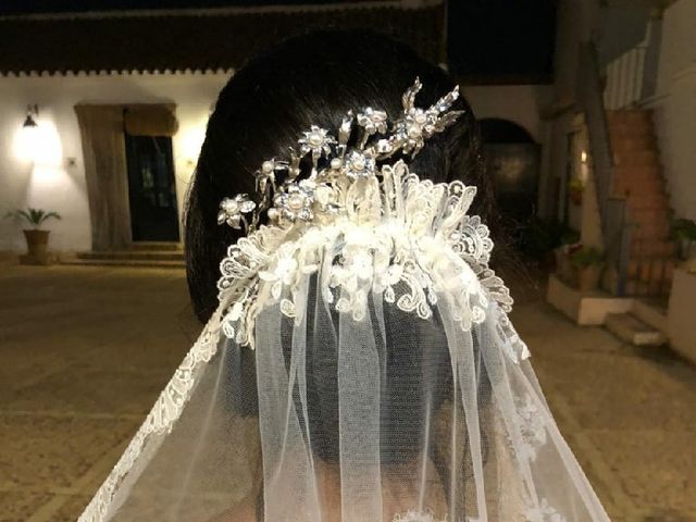 La boda de Miguel Ángel  y Laura  en Carmona, Sevilla 14