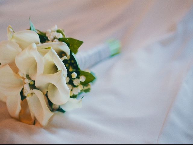 La boda de Carlos y Tamara en Miraflores De La Sierra, Madrid 4