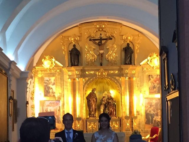 La boda de Ángel Luis y Yolanda en Cañada Rosal, Sevilla 2