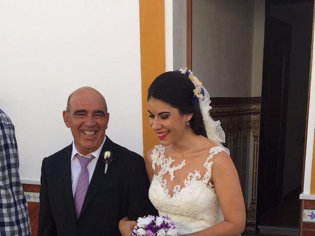 La boda de Ángel Luis y Yolanda en Cañada Rosal, Sevilla 7