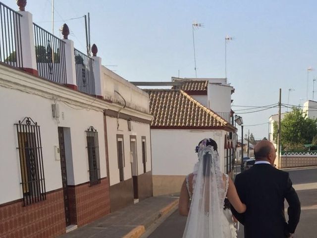 La boda de Ángel Luis y Yolanda en Cañada Rosal, Sevilla 8