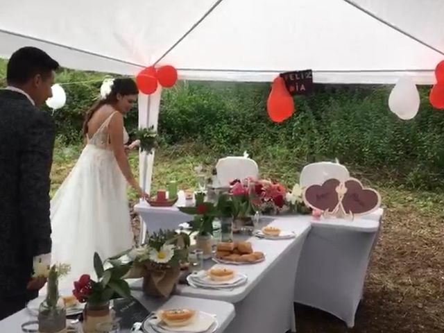 La boda de Aaron  y Alina  en Loiu, Vizcaya 2
