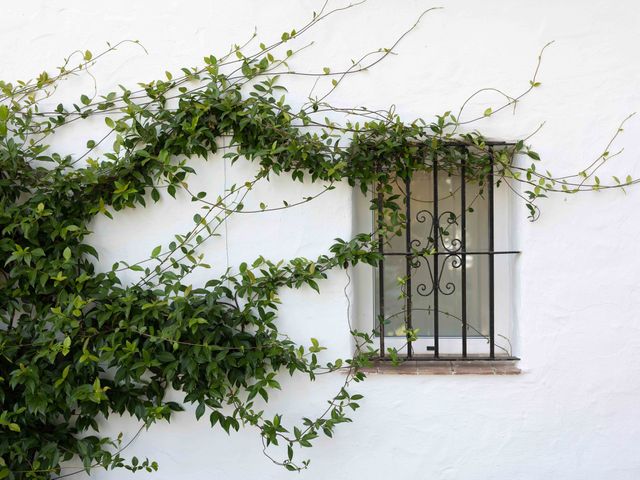 La boda de Francesco y Emy en Marbella, Málaga 1