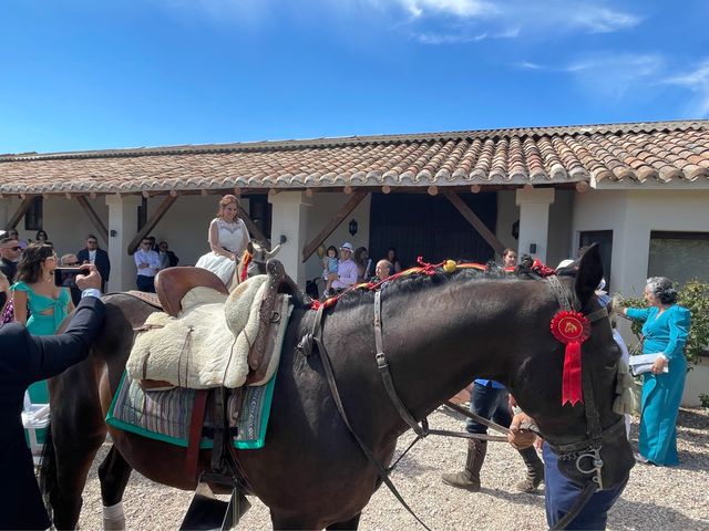 La boda de Marcelo  y Tania  en La Puebla De Montalban, Toledo 17
