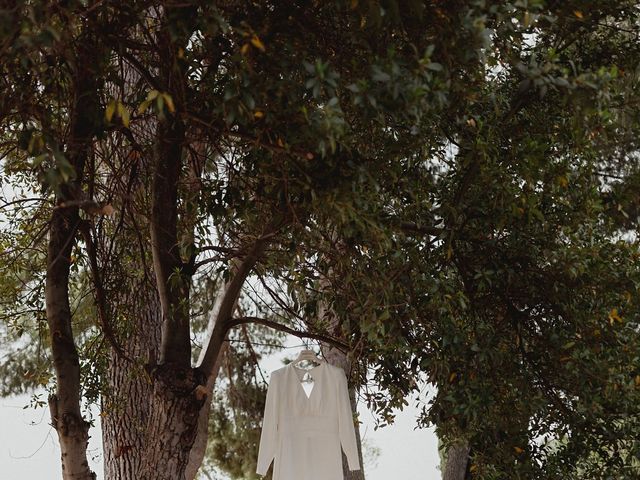 La boda de Cris y Vega en Daimiel, Ciudad Real 42