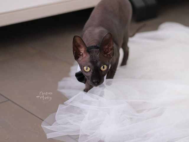 La boda de Jose Antonio y Soraya en Barcelona, Barcelona 9