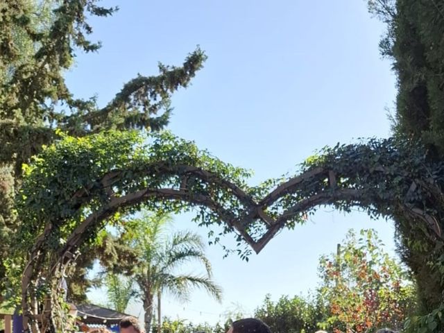 La boda de Raúl  y Carolina en Cajiz, Málaga 2