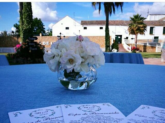 La boda de Francisco José y María en Lucena, Córdoba 6