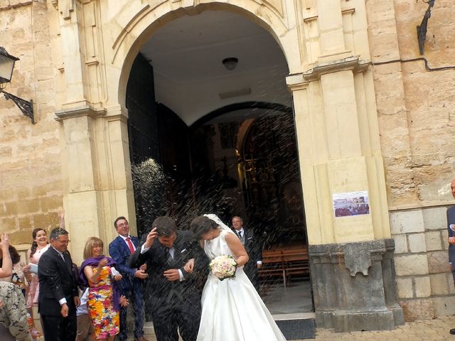 La boda de Francisco José y María en Lucena, Córdoba 8