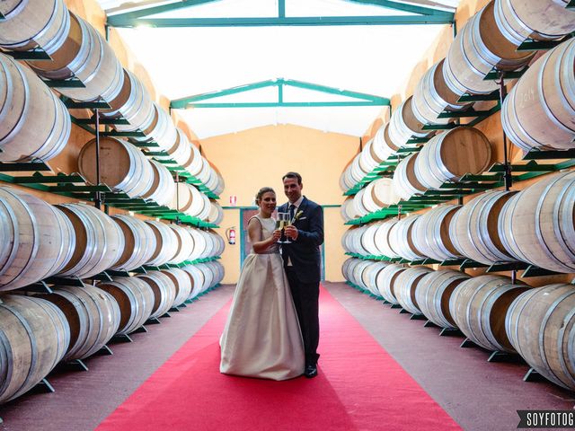 La boda de Herman y Silvia en Laguna De Duero, Valladolid 11