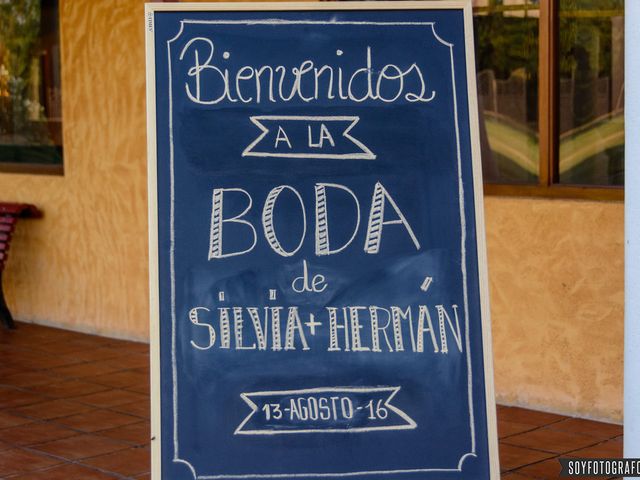 La boda de Herman y Silvia en Laguna De Duero, Valladolid 13