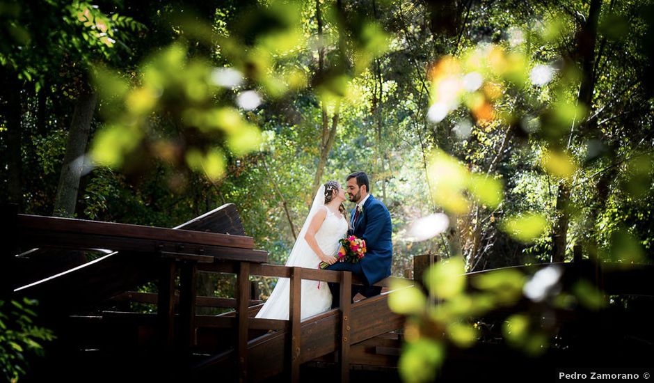 La boda de Rafael y Aurora en Torrecaballeros, Segovia