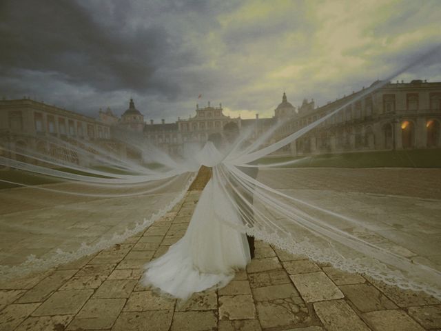 La boda de Sergio y Beatriz en Aranjuez, Madrid 11