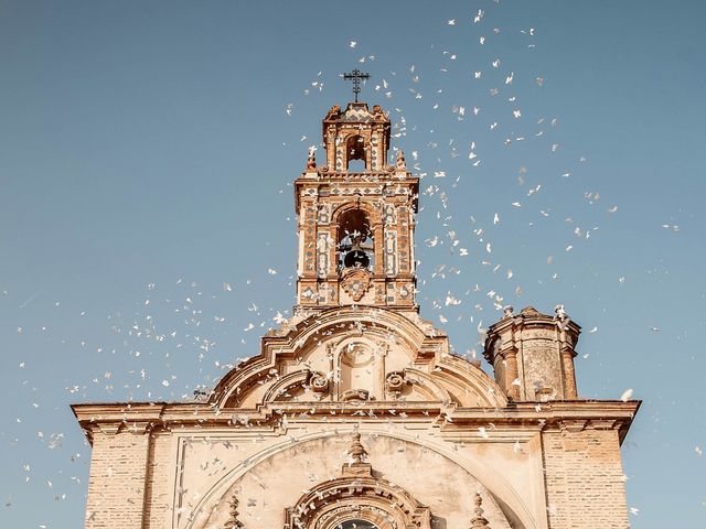 La boda de Natividad y Rafael en Lora Del Rio, Sevilla 19