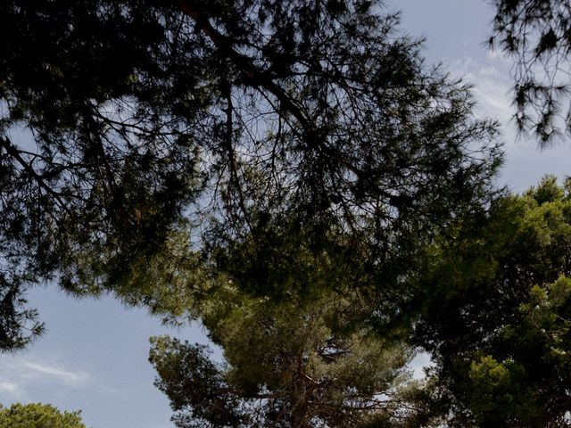 La boda de Teresa y Javier en Valencia, Valencia 28