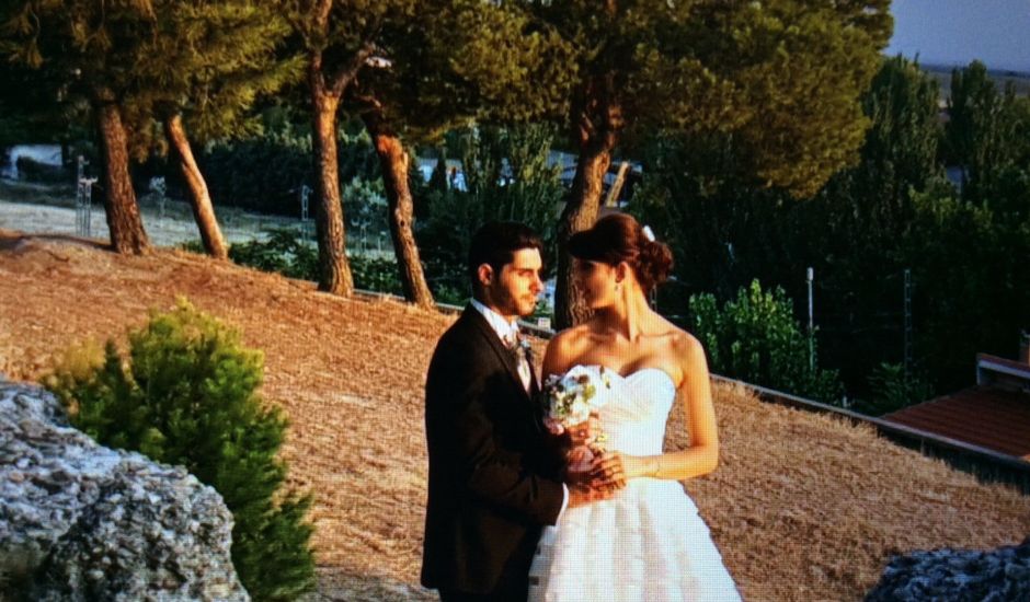 La boda de David y Alexandra en Medina Del Campo, Valladolid