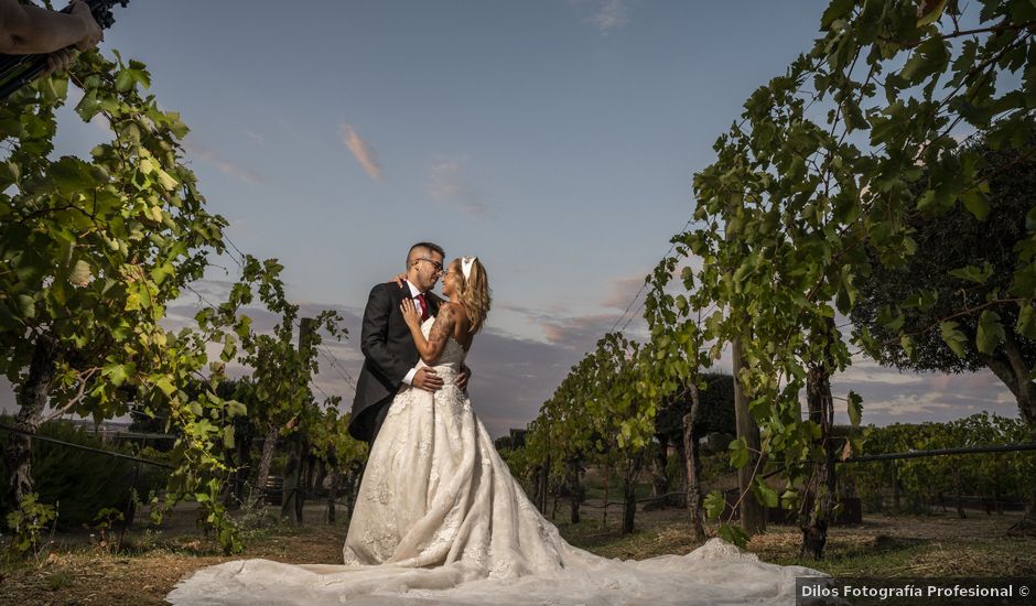 La boda de Ana y Diego en Toledo, Toledo