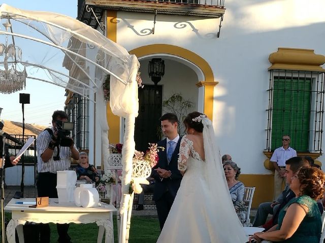La boda de Luis y Mar en Dos Hermanas, Sevilla 19