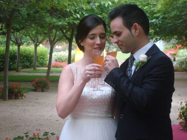 La boda de Carla y Juan Manuel  en Premia De Dalt, Barcelona 10